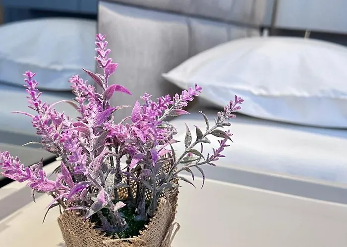 Frida Luxury * טיראנה