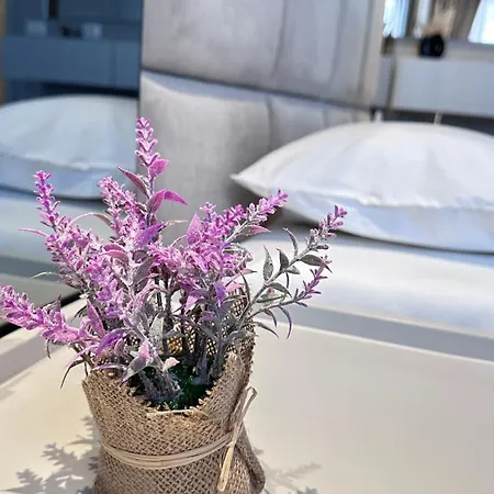 Frida Luxury * Tirana